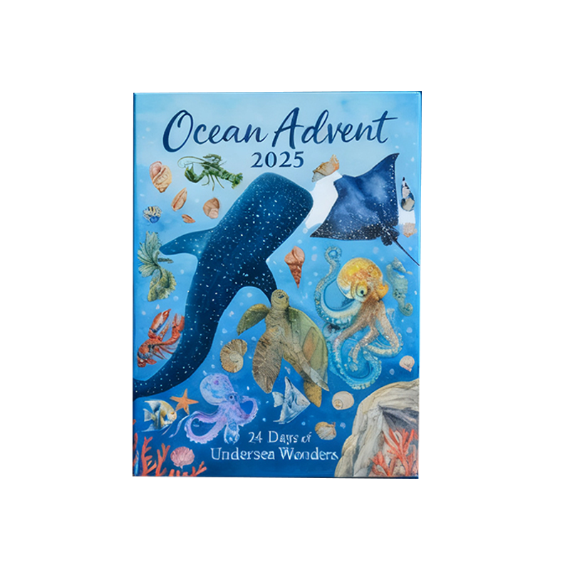 Graddi Ocean Prism Advent