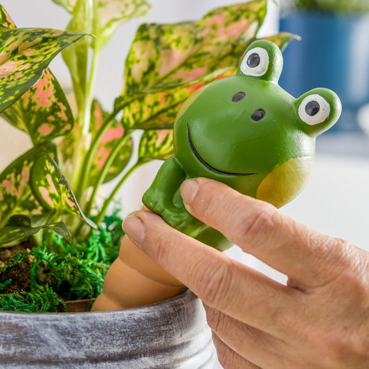 Frog dripper watering device