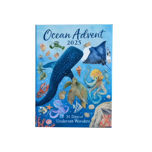Graddi Ocean Prism Advent