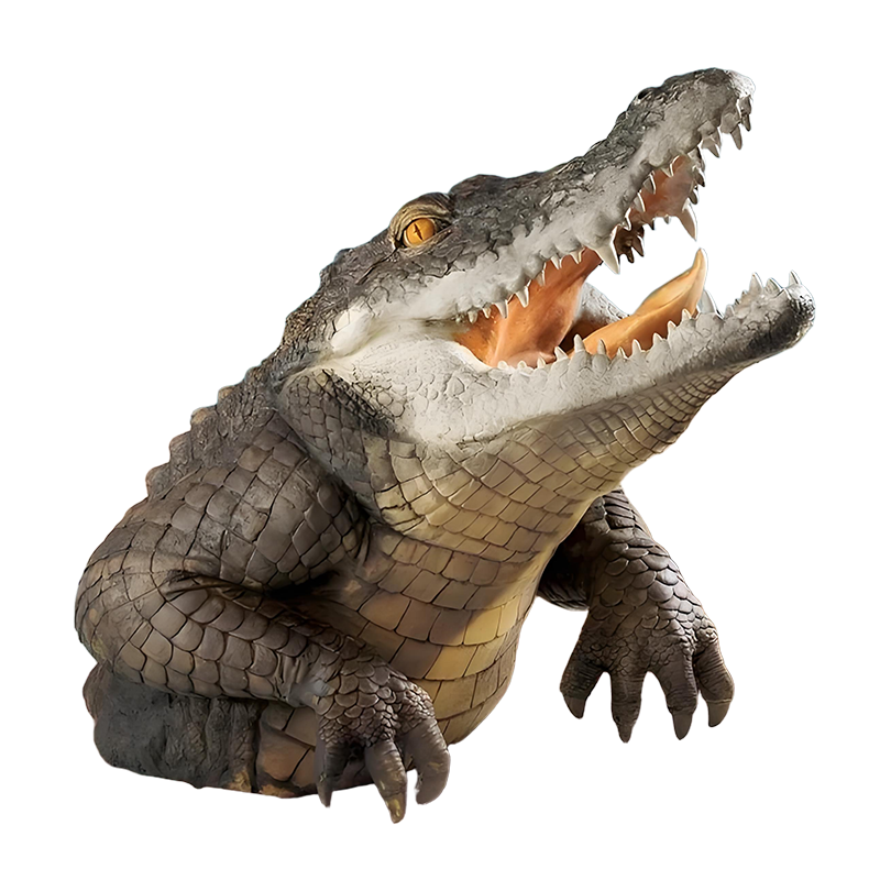 Graddi JawsBite Art