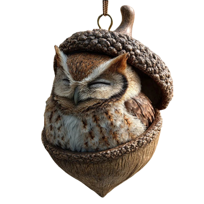 Graddi Acorn Dreams