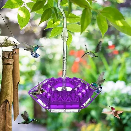 Graddi Sweety Hummingbird Feeder